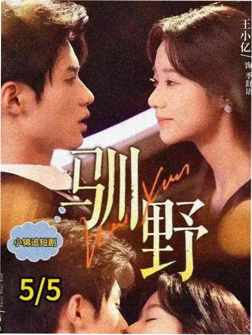白露为霜 情感悬疑剧海报